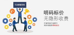 稅務(wù)申報外包